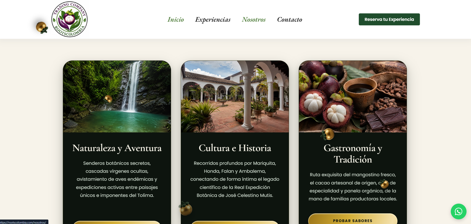 Diseño responsive del sitio web Roots Colombia